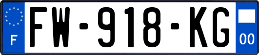 FW-918-KG
