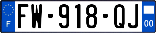 FW-918-QJ