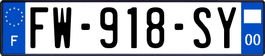 FW-918-SY