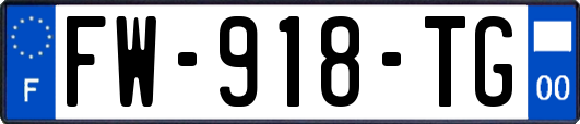 FW-918-TG