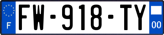 FW-918-TY