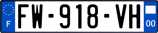 FW-918-VH