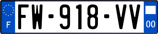 FW-918-VV
