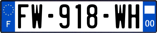 FW-918-WH