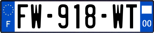 FW-918-WT