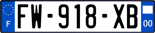 FW-918-XB