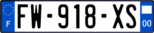 FW-918-XS