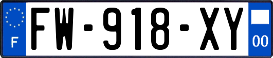 FW-918-XY