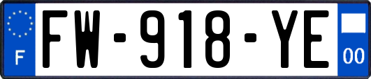 FW-918-YE