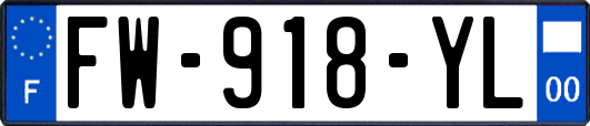 FW-918-YL