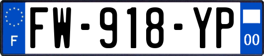 FW-918-YP