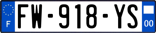 FW-918-YS