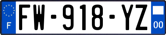 FW-918-YZ