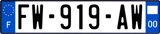 FW-919-AW