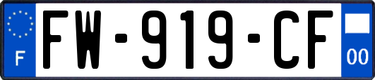 FW-919-CF
