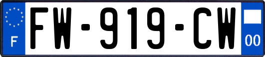 FW-919-CW