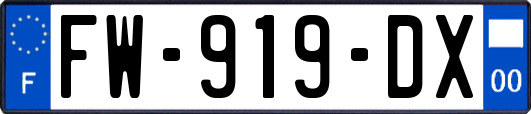 FW-919-DX