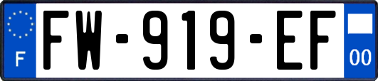 FW-919-EF