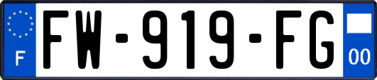 FW-919-FG