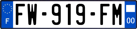 FW-919-FM