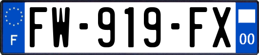 FW-919-FX