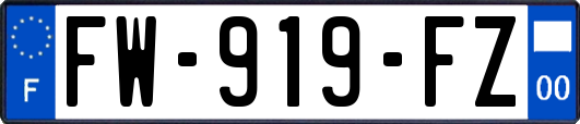 FW-919-FZ