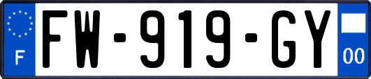 FW-919-GY