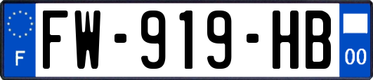 FW-919-HB