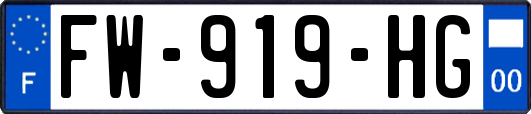 FW-919-HG