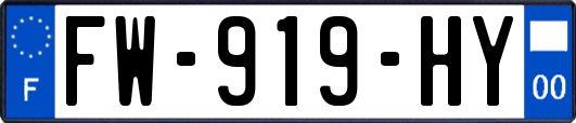 FW-919-HY