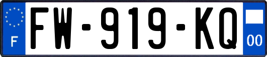 FW-919-KQ
