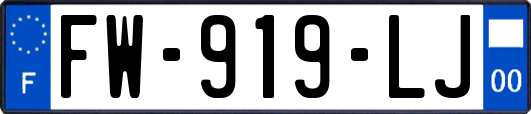 FW-919-LJ