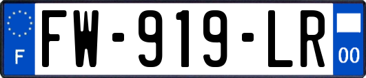 FW-919-LR