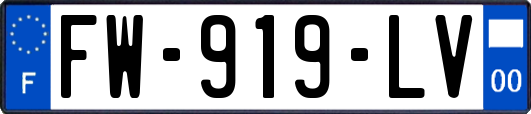 FW-919-LV