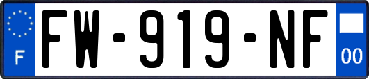FW-919-NF