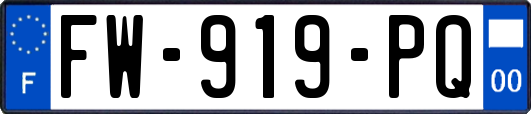 FW-919-PQ