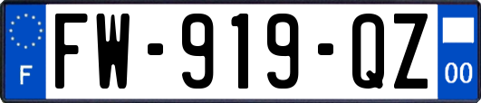 FW-919-QZ