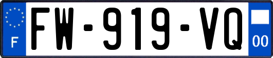 FW-919-VQ