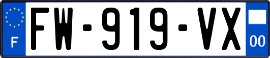 FW-919-VX