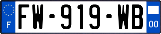 FW-919-WB