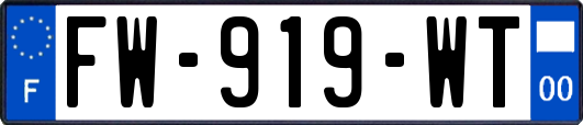 FW-919-WT