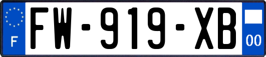 FW-919-XB