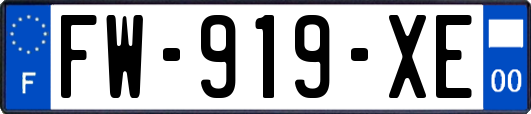 FW-919-XE