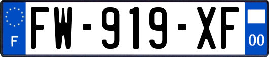 FW-919-XF