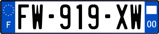FW-919-XW