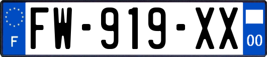 FW-919-XX