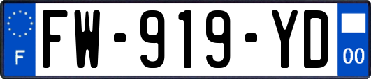 FW-919-YD