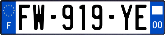 FW-919-YE