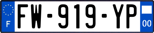 FW-919-YP