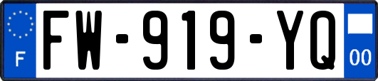 FW-919-YQ